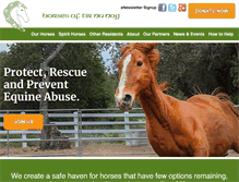 Tablet Screenshot of horsesoftirnanog.org